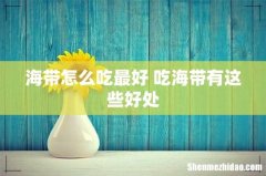 海带怎么吃最好 吃海带有这些好处