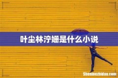 叶尘林泞姗是什么小说