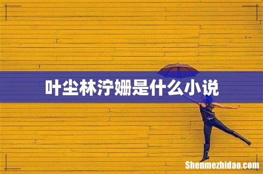 叶尘林泞姗是什么小说