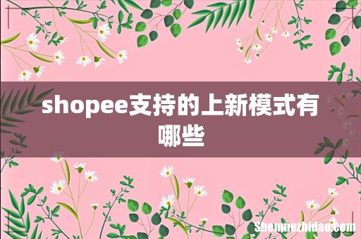 shopee支持的上新模式有哪些