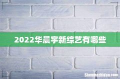 2022华晨宇新综艺有哪些