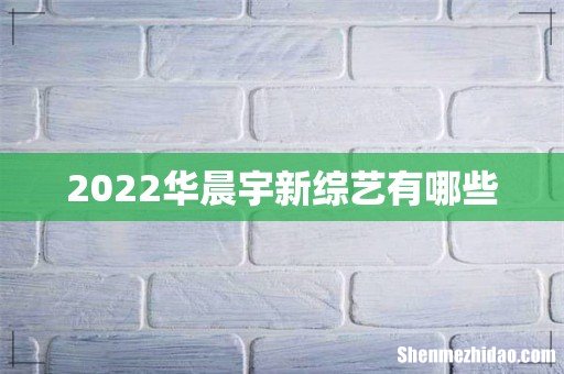 2022华晨宇新综艺有哪些