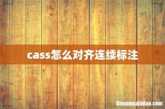 cass怎么对齐连续标注