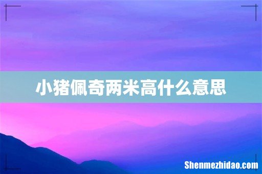 小猪佩奇两米高什么意思