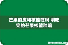 芒果的皮和核能吃吗 刚吃完的芒果核能种嘛