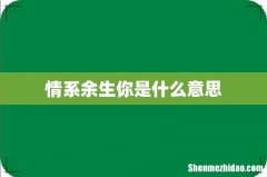 情系余生你是什么意思