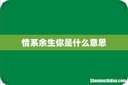 情系余生你是什么意思