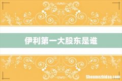 伊利第一大股东是谁