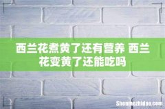 西兰花煮黄了还有营养 西兰花变黄了还能吃吗
