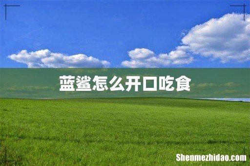 蓝鲨怎么开口吃食
