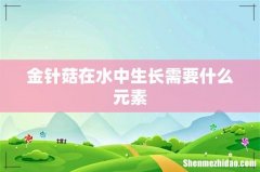 金针菇在水中生长需要什么元素