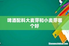 啤酒配料大麦芽和小麦芽哪个好