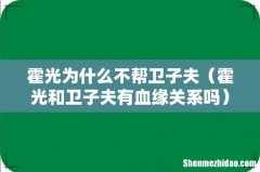 霍光和卫子夫有血缘关系吗 霍光为什么不帮卫子夫