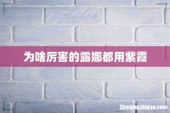 为啥厉害的露娜都用紫霞