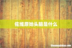 佐维原始头脑是什么