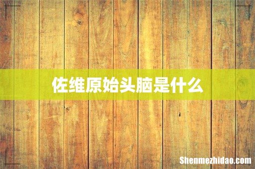 佐维原始头脑是什么