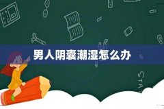 男人阴囊潮湿怎么办