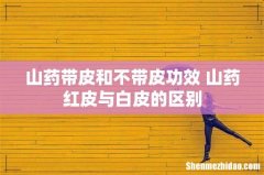 山药带皮和不带皮功效 山药红皮与白皮的区别