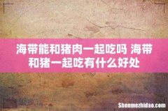 海带能和猪肉一起吃吗 海带和猪一起吃有什么好处
