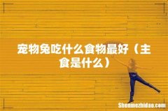 主食是什么 宠物兔吃什么食物最好
