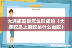 大连蛇岛上的蛇是什么毒蛇 大连蛇岛是怎么形成的