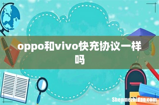 oppo和vivo快充协议一样吗