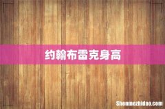 约翰布雷克身高