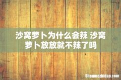沙窝萝卜为什么会辣 沙窝萝卜放放就不辣了吗