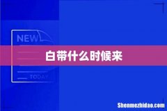 白带什么时候来