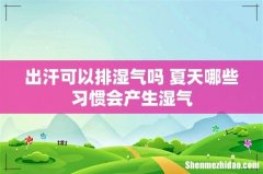 出汗可以排湿气吗 夏天哪些习惯会产生湿气