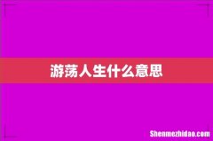 游荡人生什么意思