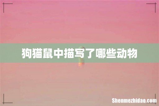 狗猫鼠中描写了哪些动物