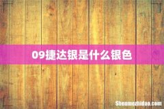 09捷达银是什么银色