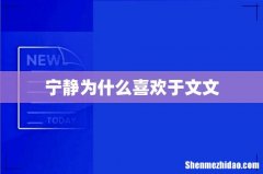 宁静为什么喜欢于文文