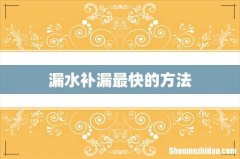 漏水补漏最快的方法
