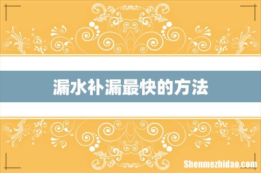漏水补漏最快的方法