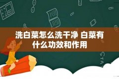 洗白菜怎么洗干净 白菜有什么功效和作用