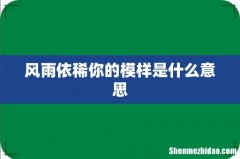 风雨依稀你的模样是什么意思