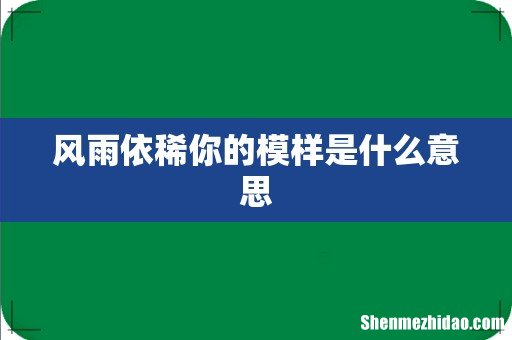 风雨依稀你的模样是什么意思