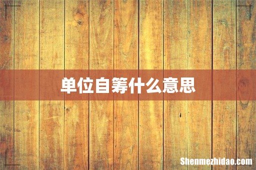 单位自筹什么意思