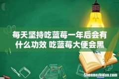 每天坚持吃蓝莓一年后会有什么功效 吃蓝莓大便会黑吗