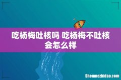 吃杨梅吐核吗 吃杨梅不吐核会怎么样