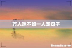 万人迷不如一人宠句子