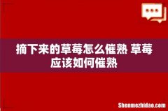 摘下来的草莓怎么催熟 草莓应该如何催熟