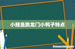 小鲤鱼跳龙门小鸭子特点