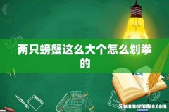 两只螃蟹这么大个怎么划拳的