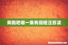 奔跑吧哪一集有薇娅汪苏泷
