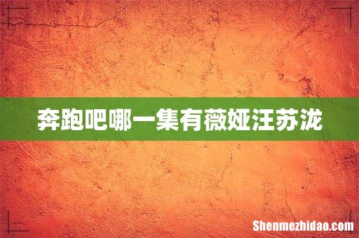奔跑吧哪一集有薇娅汪苏泷