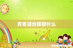 青枣适合嫁接什么