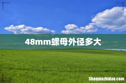 48mm螺母外径多大